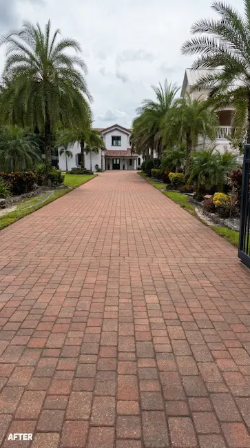 Sealing and tinting